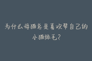为什么母猫总是喜欢帮自己的小猫舔毛?