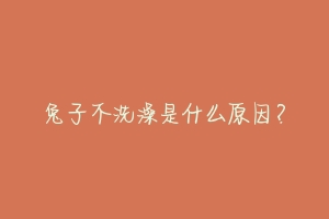 兔子不洗澡是什么原因?