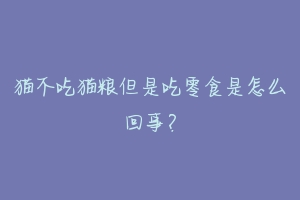 猫不吃猫粮但是吃零食是怎么回事?