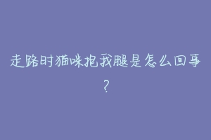 走路时猫咪抱我腿是怎么回事?