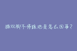 猫双脚不停踩地是怎么回事?