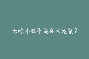 为啥小猫不能捉大老鼠?