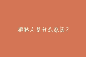 猫黏人是什么原因?