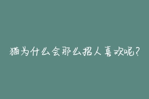 猫为什么会那么招人喜欢呢?