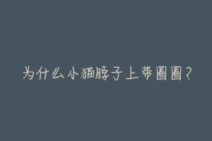 为什么小猫脖子上带圈圈?