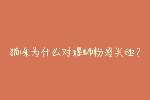 猫咪为什么对螺蛳粉感兴趣?