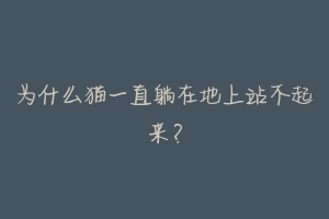 为什么猫一直躺在地上站不起来?