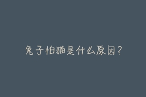 兔子怕猫是什么原因?