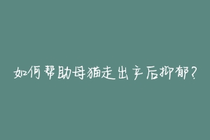 如何帮助母猫走出产后抑郁?