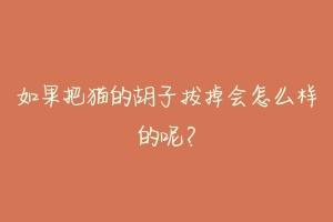 如果把猫的胡子拔掉会怎么样的呢?