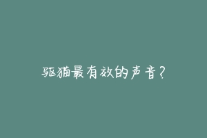 驱猫最有效的声音?