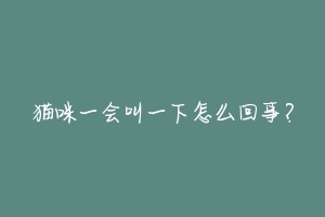 猫咪一会叫一下怎么回事?