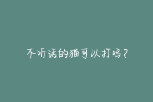 不听话的猫可以打吗?
