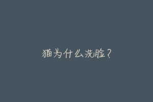 猫为什么洗脸?