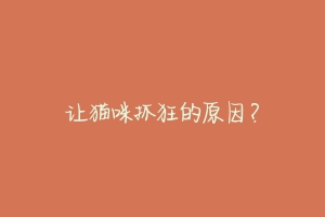 让猫咪抓狂的原因?