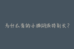 为什么有的小猫胡须特别长?