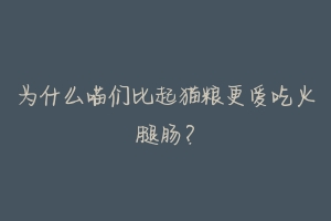 为什么喵们比起猫粮更爱吃火腿肠?