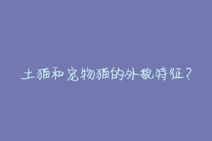 土猫和宠物猫的外貌特征?