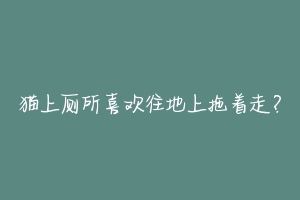 猫上厕所喜欢往地上拖着走?