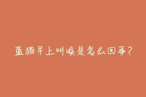 蓝猫早上叫唤是怎么回事?