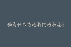 猫为什么爱吃我的唾液呢?