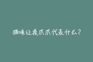 猫咪让摸爪爪代表什么?
