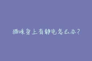 猫咪身上有静电怎么办?
