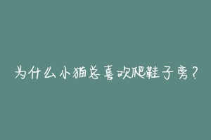 为什么小猫总喜欢爬鞋子旁?