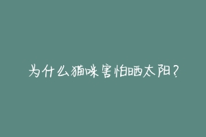 为什么猫咪害怕晒太阳?