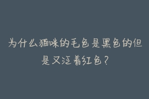 为什么猫咪的毛色是黑色的但是又泛着红色?