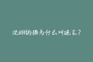 沈翊的猫为什么叫晓玄?