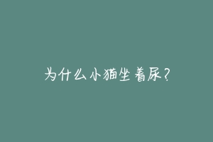 为什么小猫坐着尿?