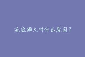 流浪猫大叫什么原因?