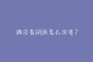 猫没有胡须怎么回答?