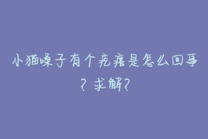 小猫嗓子有个疙瘩是怎么回事?求解?