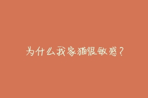 为什么我家猫很敏感?