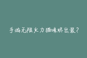 手游无限火力猫咪烬出装?