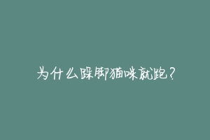 为什么跺脚猫咪就跑?