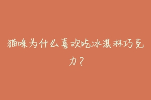 猫咪为什么喜欢吃冰淇淋巧克力？