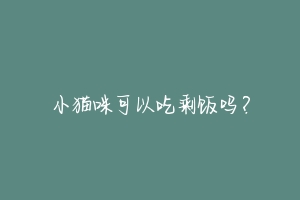 小猫咪可以吃剩饭吗?