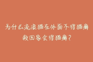 为什么流浪猫在外面不得猫癣救回家会得猫癣?