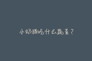 小奶猫吃什么蔬菜?