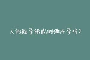 人的验孕纸能测猫怀孕吗？