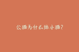 公猫为什么舔小猫?