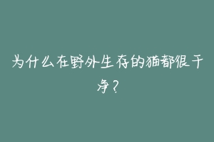 为什么在野外生存的猫都很干净?