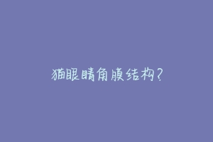 猫眼睛角膜结构?