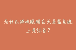 为什么猫咪眼睛白天是蓝色晚上是红色?