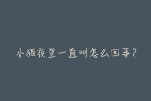 小猫夜里一直叫怎么回事？