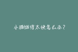 小猫饿得太快怎么办?
