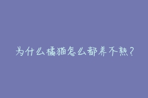 为什么橘猫怎么都养不熟?